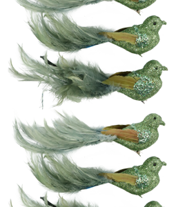 6665 OISEAUX FEDERSTOLZ 6P